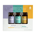 3-Pack Aromatherapy Essential Oils – Lavender, Eucalyptus & Frankincense